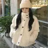 Enviado. Jaqueta curta feminina chic coreana para outono/inverno, gola alta, elegante, estilo preppy, que rejuvenesce, de pelo sintético, espessa