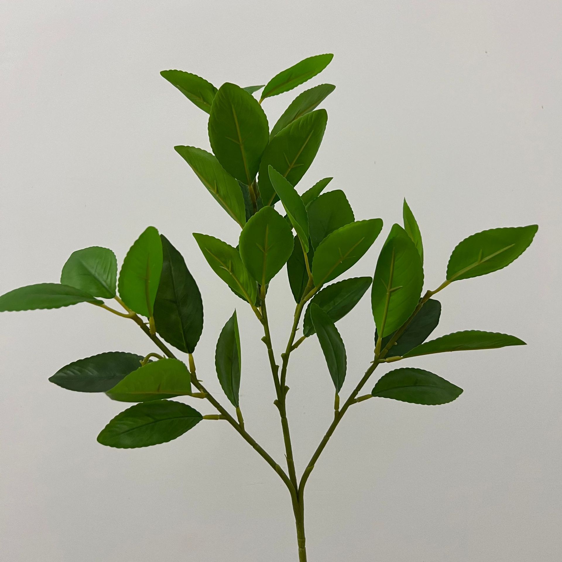 柠4