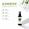 Solución Nutritiva Especial para Árbol del Dinero Fertilizante para Prevenir Hojas Amarillas, Caída de Hojas y Pudrición de Raíces. Spray para Árbol de Dinero para Hojas Verdes, Crecimiento de Raíces y Promoción de Flores, No Requiere Dilución