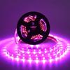 Tira de luces LED monocromáticas de bajo voltaje de 5 V, tira de luces LED2835, tira de luces monocromáticas decorativas, tira de luces de ambiente autoadhesiva, gran oferta