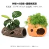 Aquário Musgo Terrário Planta Aquática Paisagismo Planta Real Tanque de Esconderijo para Peixes e Camarões Casa de Camarão Pequeno Ornamento Casa de Esconderijo para Criação de Peixes Pequenos