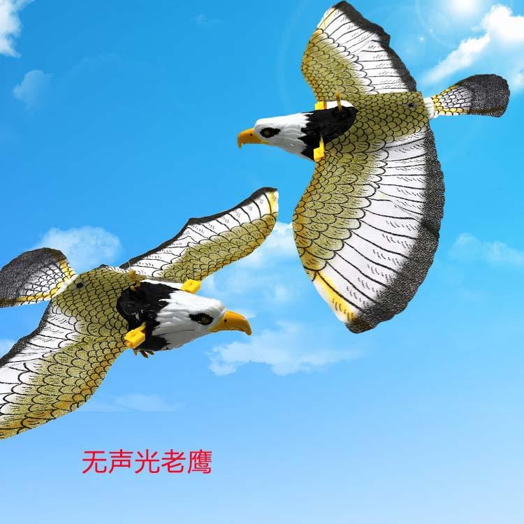 无声光老鹰