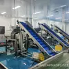Máquina Despulpadora de Mango, Bayas, Fresas, Guayaba, Equipo Despulpador de Frutas Amarillas, Máquina Peladora y Descorazonadora, Dedicada para Fábricas de Bebidas
