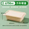 Caja de Almuerzo Biodegradable Desechable Tres Compartimentos Dos Compartimentos Rectangular para el Hogar Picnic Camping Estilo Caja de Embalaje para Frutas Caja de Almuerzo con Compartimentos