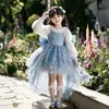 Vestido de menina, vestido de tule, vestido de princesa, vestido infantil Frozen Elsa Lolita, fantasia de apresentação