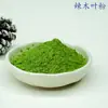 Pó de Folha de Moringa, Pó para Substituição de Refeição de Frutas e Vegetais, Secagem por Ar Quente, Bebida Sólida, Alimento de Conveniência, Fábrica de Origem, A partir de Pedaços de 0,5 kg