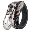 Cinturón Guangzhou Patrón Serpiente Cinturón Moda Retro Cinturón de Alta Gama Moda Versátil Decorativo Cinturón para Jeans