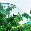 Rede Verde Anti-Pássaros, Rede Anti-Pássaros para Vegetais e Frutas, Rede Anti-Insetos, Rede de Proteção para Uvas, Cobertura para Tanque de Peixes, Nylon para Jardinagem em Estufa