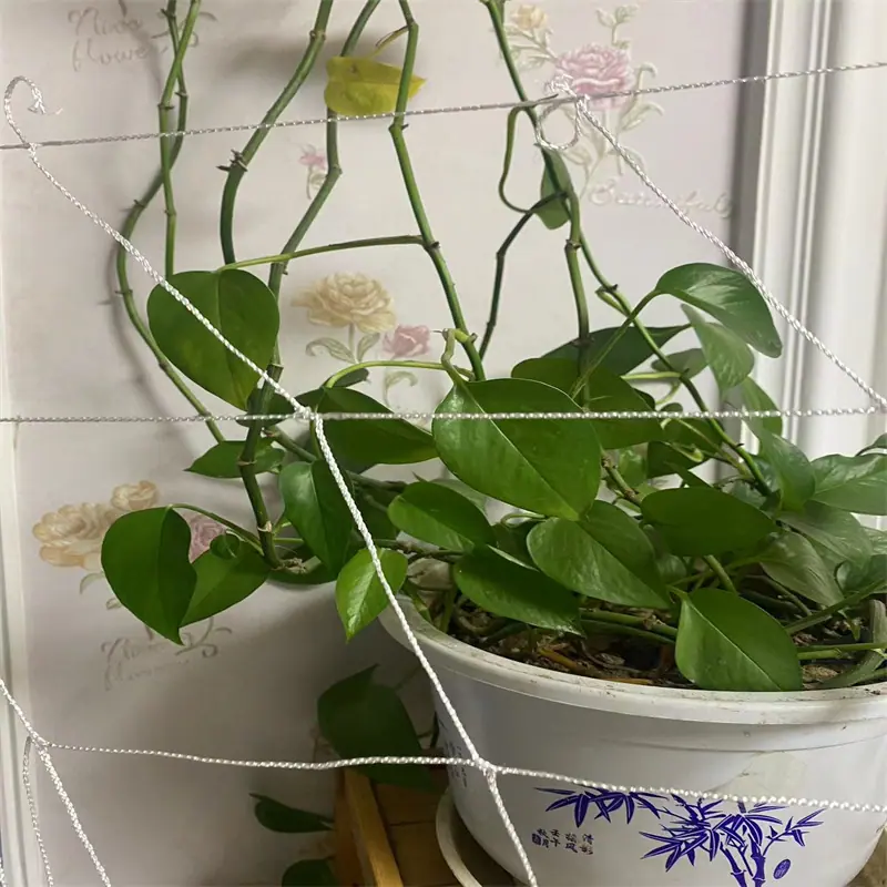 微信图片_20230130205751.jpg