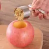 Precio de fábrica suministro directo descorazonador de manzanas descorazonador de peras excavador de frutas excavador de peras Acero inoxidable Descorazonador de frutas