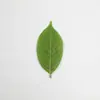 Planta Verde Artificial Folhas de Magnólia Seção de Frutas de Supermercado Loja de Folhas Falsas Decoração de Vitrine Arranjo de Folhas Verdes Folhas Pequenas
