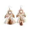 Pendientes de gancho de resina con forma de hoja ovalada y pluma, transfronterizos europeos y americanos, pendientes frescos y sencillos de verano, pendientes de diseño nicho para mujer