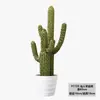 Mobiliario para el hogar, Suculentas simuladas, Plantas pequeñas en maceta, Plantas verdes artificiales, Cactus en maceta, Cactus bonsái decorativo