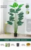 Planta Verde Monstera Bambu Simulação Nórdica Planta Grande Biónica em Vaso Planta Falsa Decoração de Sala de Estar Interna Ornamento de Chão Árvore