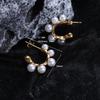 Pendientes de acero inoxidable de alta calidad Perla pendientes de otoño e invierno de aspecto caro fundición geométrica calientes pendientes todo-partido Moda
