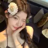 Pinza para el Cabello Pequeña de Paja con Encaje para Mujer, Elegante Pinza Lateral con un Toque de Lujo, Accesorio para el Cabello Versátil y Hermoso para Fotos, Artículo Popular Transfronterizo