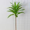 Planta verde artificial com 2 cabeças, decoração de bambu, bambu rico, madeira do Brasil, planta tropical falsa, bambu, folhas de bambu de plástico