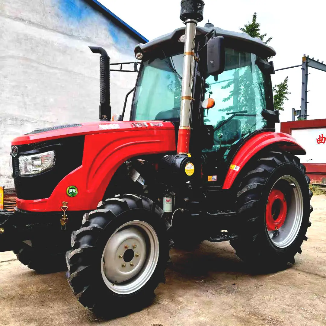 洛阳万年红804 2