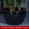 Jarrón Grande de Cerámica Negra Glaseada de Jingdezhen para Sala de Estar, Método Tradicional para Criar Peces, Koi, Nenúfares, Jarrón de Loto, Fabricante de Jarrón Negro Dorado Feng Shui