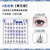 Pestañas Postizas de Porcelana Azul y Blanca Nueva Trilogía 2025 Pestañas Postizas Naturalmente Rizadas y Ligeras Racimos Individuales Esenciales para Principiantes