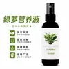 Solução Nutricional Especial para Plantas Verdes, Fertilizante Solúvel em Água de Ingredientes Médios, Fertilizante Líquido Tipo Spray para Manutenção de Plantas Verdes em Jardinagem Doméstica