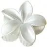 El más vendido en Europa y América, accesorio para el cabello de ABS con moderno color degradado, pinza de flor de plumeria, pinza versátil floral para coleta y pasador para recogido