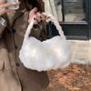 Diseño de Nicho Bolsa Nube Bolso Peludo para Mujer Invierno 2026 Nuevo Bolso de Felpa Texturizado Versátil