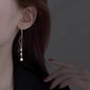 Pendientes Star Wave para mujer otoño e invierno 2022 nuevos de moda largos nicho alta calidad borla estrella piercing oreja línea de oreja