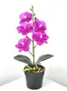 Planta Verde Artificial en Maceta Bonsái Creativo Orquídea Mariposa Decoración del Hogar Adornos Flor Artificial en Maceta Mini Lindo Bonsái