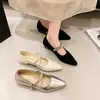 Sapatos femininos de bico fino com salto grosso estilo francês, novo estilo fada outono 2026, adequados para combinar com saias, com tira de strass, sapatos Mary Jane