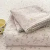 Sábana de algodón nube estampada fresca y sencilla con ribete de encaje, juego de tres piezas para dormitorio principal del hogar o dormitorio de estudiante, incluye sábana y funda de almohada