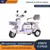E-Trike Vintage - Aspecto Atemporal para Paseos de Ocio