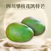 Mango Kate de Panzhihua, Sichuan, entrega directa 5/ 4.5kg Mango de piel verde con pulpa espesa, mango de cara grande, caja entera de temporada de fruta fresca