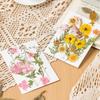 Bolsa de Material para Repujado de Flores Secas Transfronteriza Cara Pétalo Maquillaje Hoja Adhesivo Espécimen de Planta Flor Real Hecho a Mano Material DIY