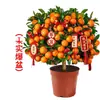 Planta de Kumquat de Cuatro Estaciones en Maceta con Fruta Comestible, una Planta Atractora de Fortuna para Sala de Estar de Uso Interior, Flor de Año Nuevo, Árbol Frutal Naranja, Planta Verde