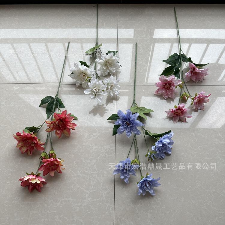 微信图片_20230525152331_副本