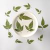 Flor de Bidens bipinnata repujada gota de flor seca pegamento para manualidades carcasa de teléfono móvil espécimen de planta material de marcapáginas hecho a mano para niños