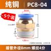 Conector rápido para tubería de gas, conector rápido neumático, fuente de aire, rosca PC8-02, paso recto PC 10-03/12/6/4/M5