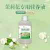 Solución Nutritiva Especial Jazmín de Ocho Hombres Viejos: Suplementa Nutrientes, Fortalece la Inmunidad, Fertilizante Soluble en Agua, Previene el Agrietamiento de Frutas