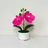 Novo Estilo Flor Artificial Fresca Orquídea Phalaenopsis Planta em Vaso com 2 Flores em um Vaso de Três Pernas para Decoração de Jardim e Peitoril de Janela, Bonsai Artificial para Casa
