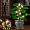 Dropshipping Árbol Bodhi en Maceta Bonsái Bodhi Pequeño con Fruto Adornos de Escritorio Zen Chino Interior Creativo Bueno