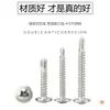 Tornillos de Acero Inoxidable 410 con Cabeza Plana, Autoperforantes, Galvanizados, Autorroscantes, de Cabeza Phillips Autoperforantes, Tornillos Extendididos