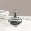 Vaso de Vidro Minimalista de Boca Estreita Transfronteiriço Decoração de Arranjo de Flores para Mesa Ornamentos para Flores Frescas e Plantas Verdes