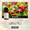 Fabricante de Fuente de Aromaterapia Aceite Esencial de Aromaterapia Soluble en Agua 10 ml Fragancia Vegetal L Difusor Ambientador Máquina de Aromaterapia Aceite Esencial
