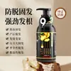 Shampoo Personalizado de Folha de Platycladus Oriental Shampoo Herbal Antiqueda de Cabelo Óleo Sérum de Crescimento Capilar Gengibre Ginseng Controle de Oleosidade Cabelo Volumoso Oem