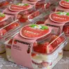 Caixa para Bolo Mousse de Morango, Caixa para Embalagem de Tiramisu, Caixa para Cortar Frutas, Pudim, Purê de Taro, Caixa de Queijo, Caixa para Levar