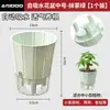 Maceta autorriego que absorbe oxígeno para plantas de interior y flores, maceta de plástico transpirable y nutritiva para las raíces