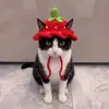 Gorro Lindo y Divertido para Mascota Disfraz de Gato Accesorio para la Cabeza Accesorios para Perro Collar Adornos Tejidos Nuevos 2026