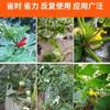 Clips para Vid de Invernadero, Clips de Fijación para Vid, Suministros de Injerto para Jardinería, Clips de Sujeción para Plantas de Pepino y Tomate, Suministros para Plantas Verdes de Hogar