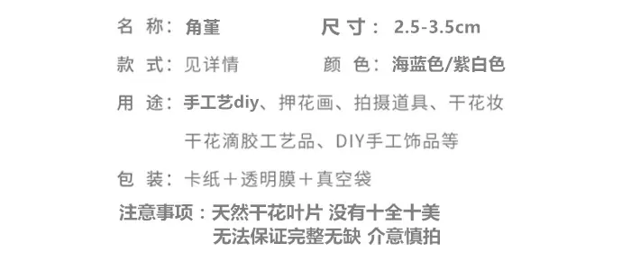 角堇海蓝色.png